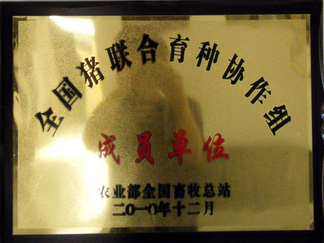 5357cc��˹ά��˹(�й�)���޹�˾����