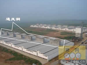 5357cc��˹ά��˹(�й�)���޹�˾����