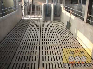 5357cc��˹ά��˹(�й�)���޹�˾����