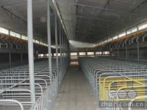 5357cc��˹ά��˹(�й�)���޹�˾����