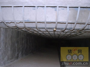 5357cc��˹ά��˹(�й�)���޹�˾����