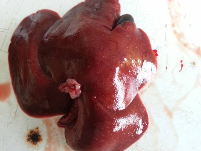 5357cc��˹ά��˹(�й�)���޹�˾����