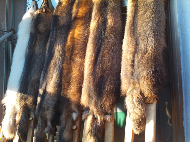 5357cc��˹ά��˹(�й�)���޹�˾����