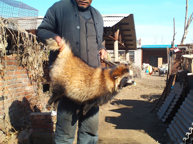 5357cc��˹ά��˹(�й�)���޹�˾����