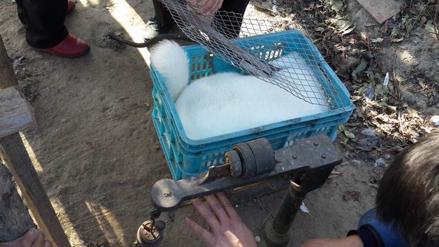 5357cc��˹ά��˹(�й�)���޹�˾����