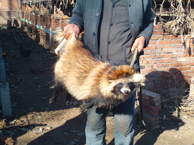 5357cc��˹ά��˹(�й�)���޹�˾����