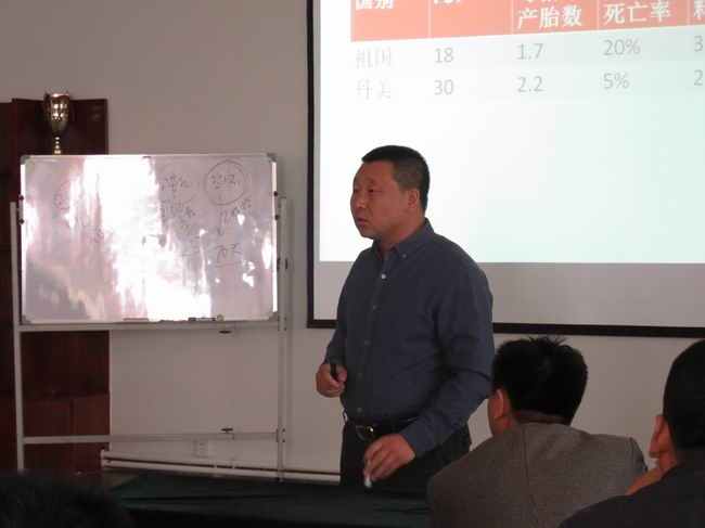 5357cc��˹ά��˹(�й�)���޹�˾����