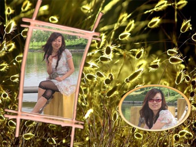 5357cc��˹ά��˹(�й�)���޹�˾����