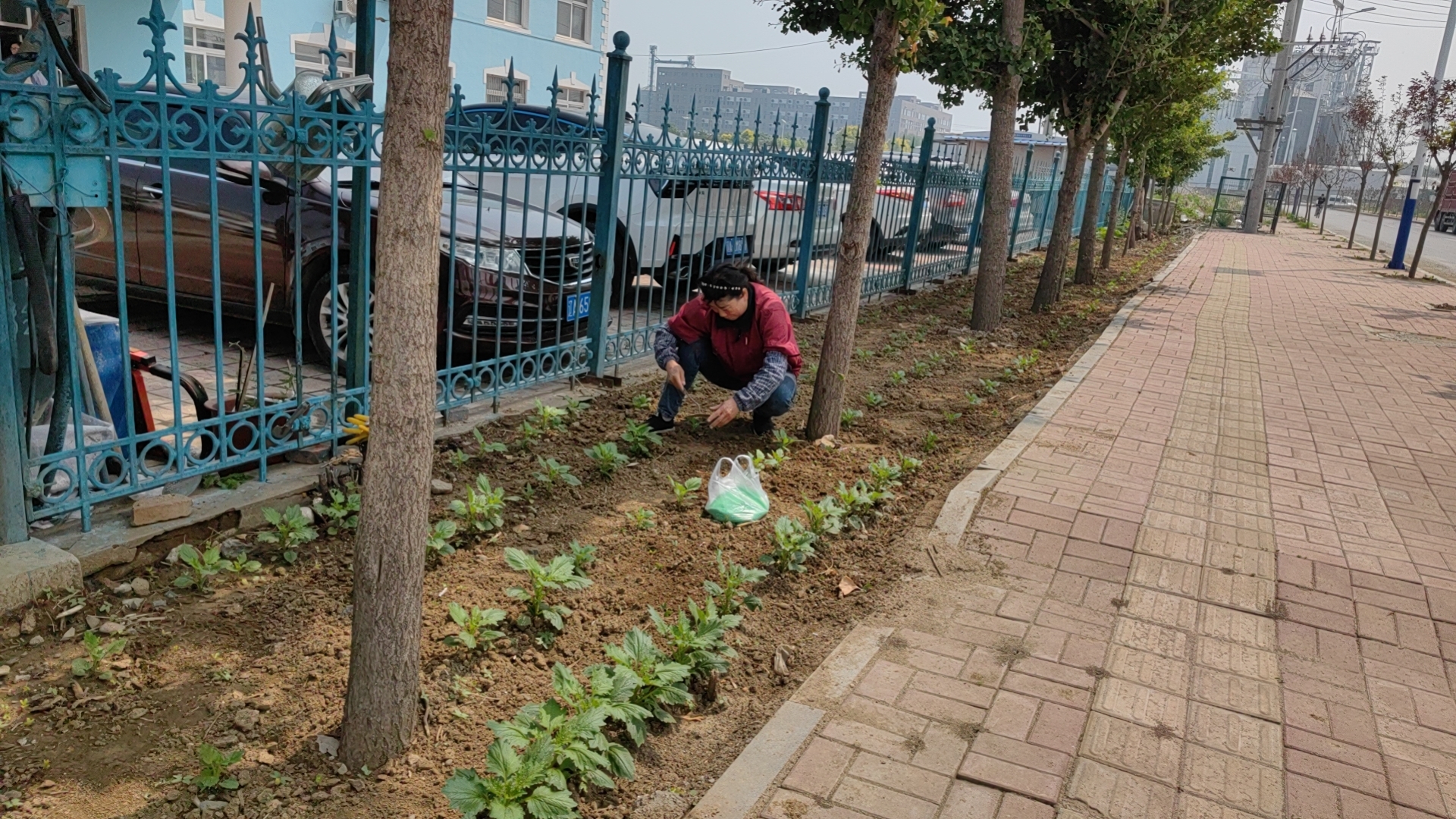 5357cc��˹ά��˹(�й�)���޹�˾����