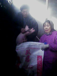 5357cc��˹ά��˹(�й�)���޹�˾����