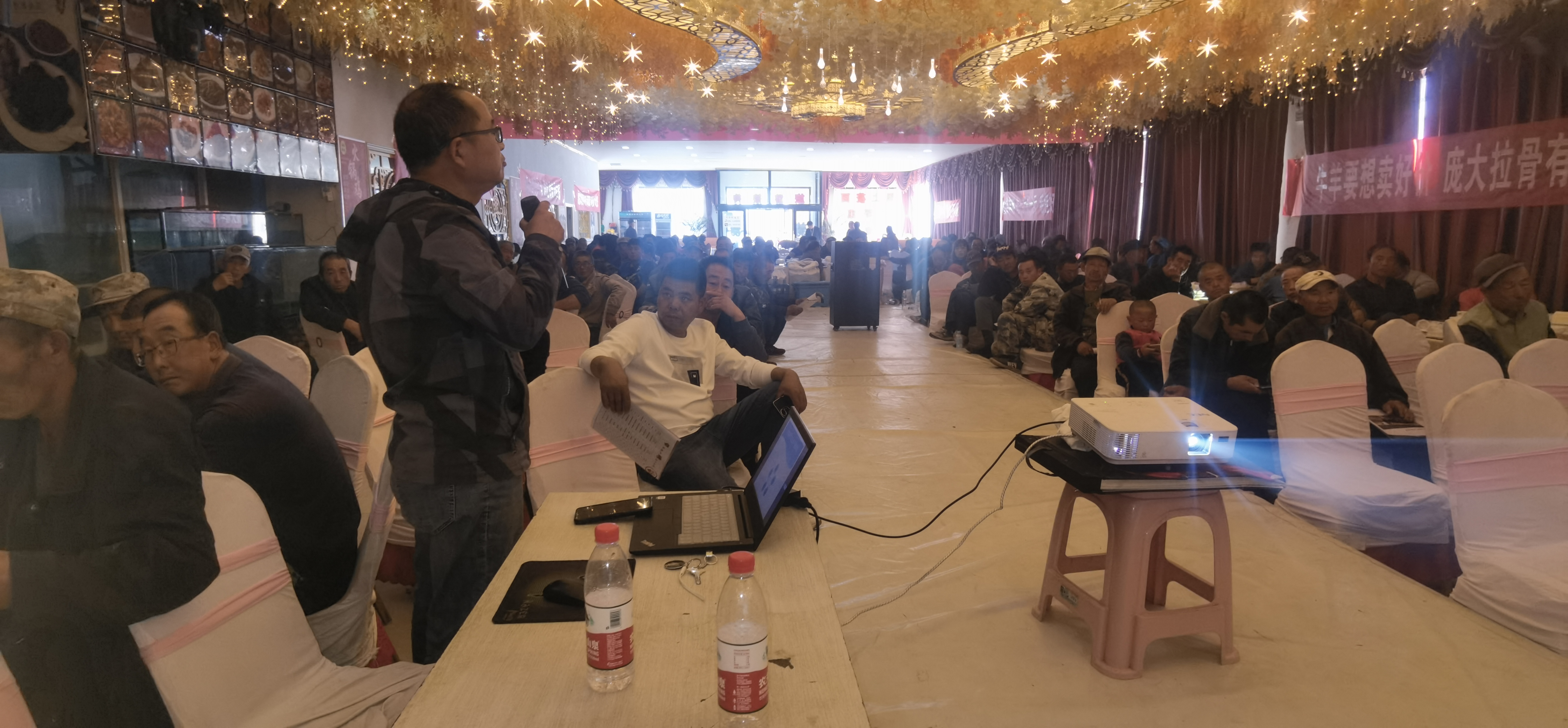 5357cc��˹ά��˹(�й�)���޹�˾����