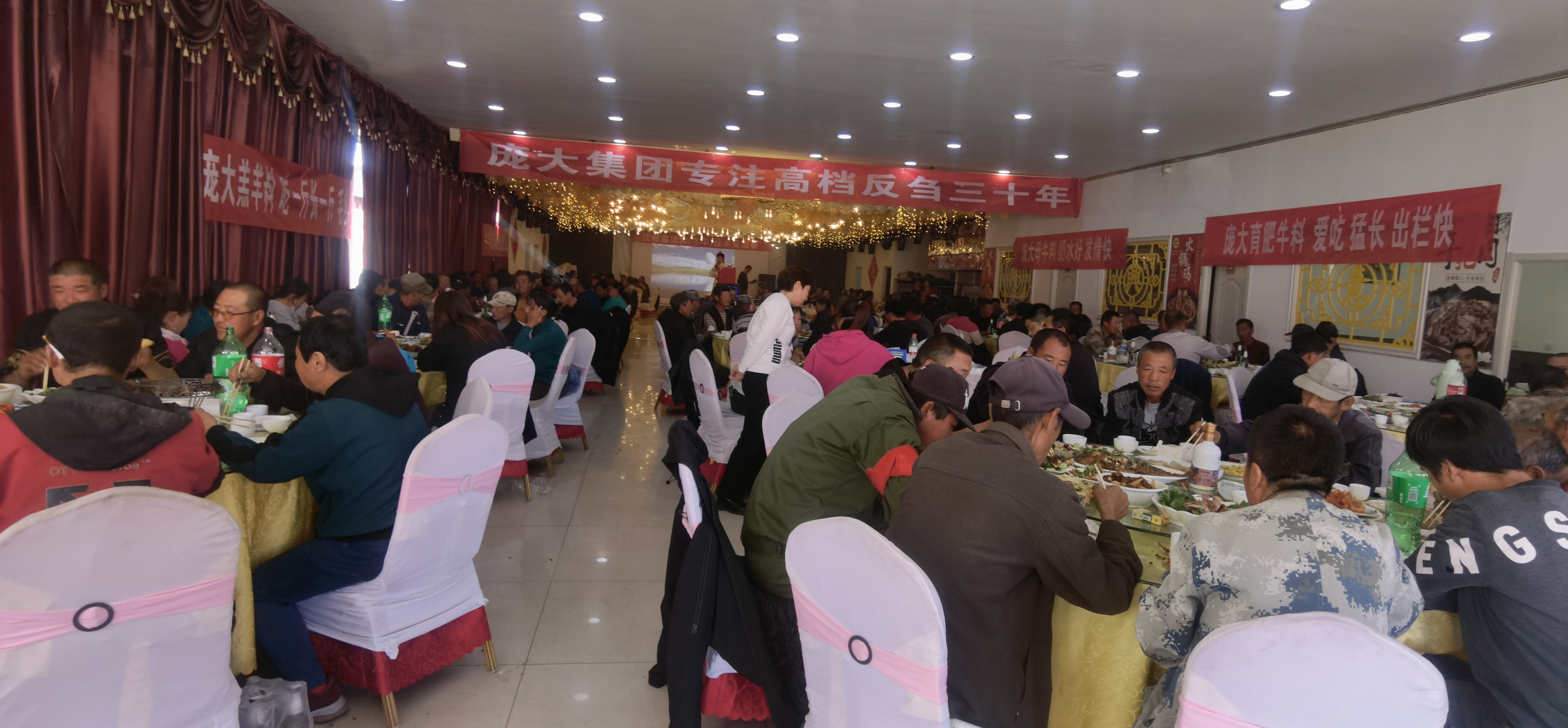 5357cc��˹ά��˹(�й�)���޹�˾����