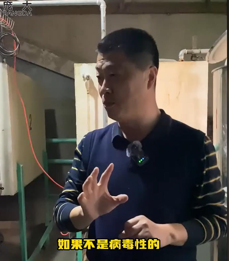 5357cc��˹ά��˹(�й�)���޹�˾����