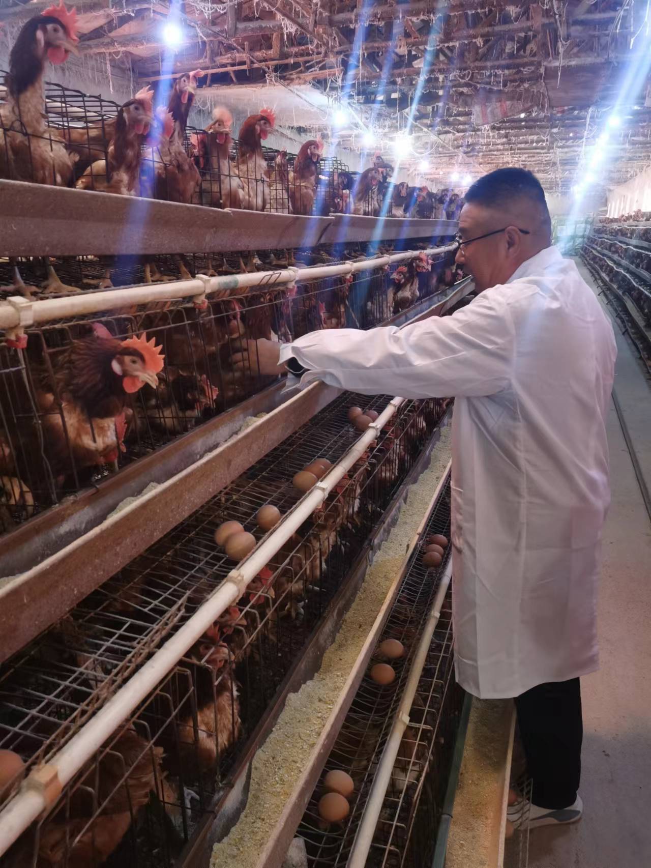 5357cc��˹ά��˹(�й�)���޹�˾����