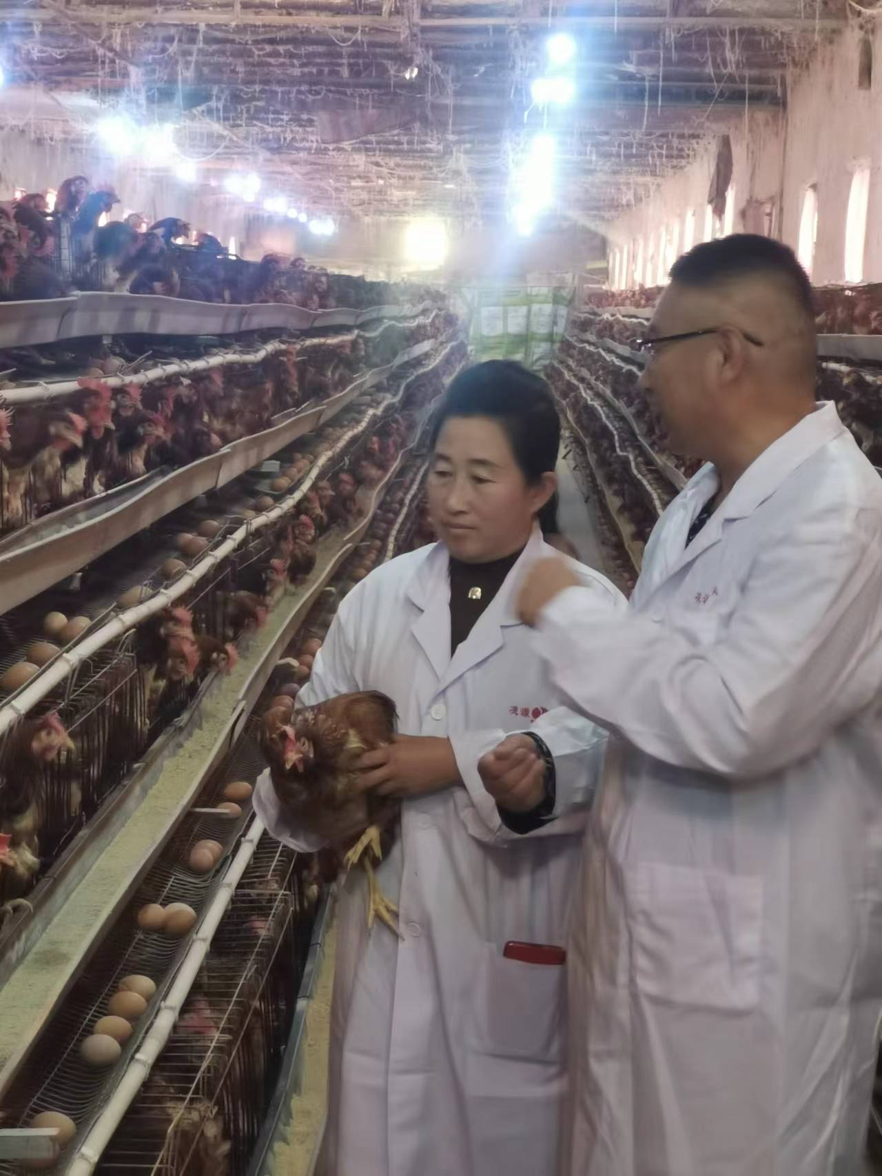 5357cc��˹ά��˹(�й�)���޹�˾����