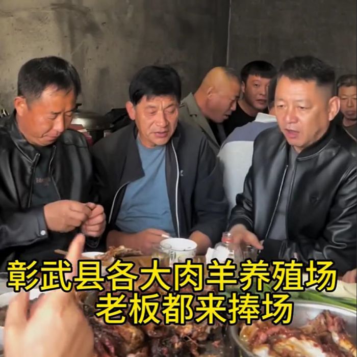 5357cc��˹ά��˹(�й�)���޹�˾����