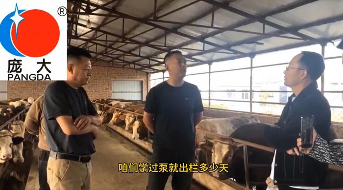 5357cc��˹ά��˹(�й�)���޹�˾����