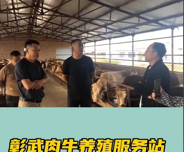 5357cc��˹ά��˹(�й�)���޹�˾����