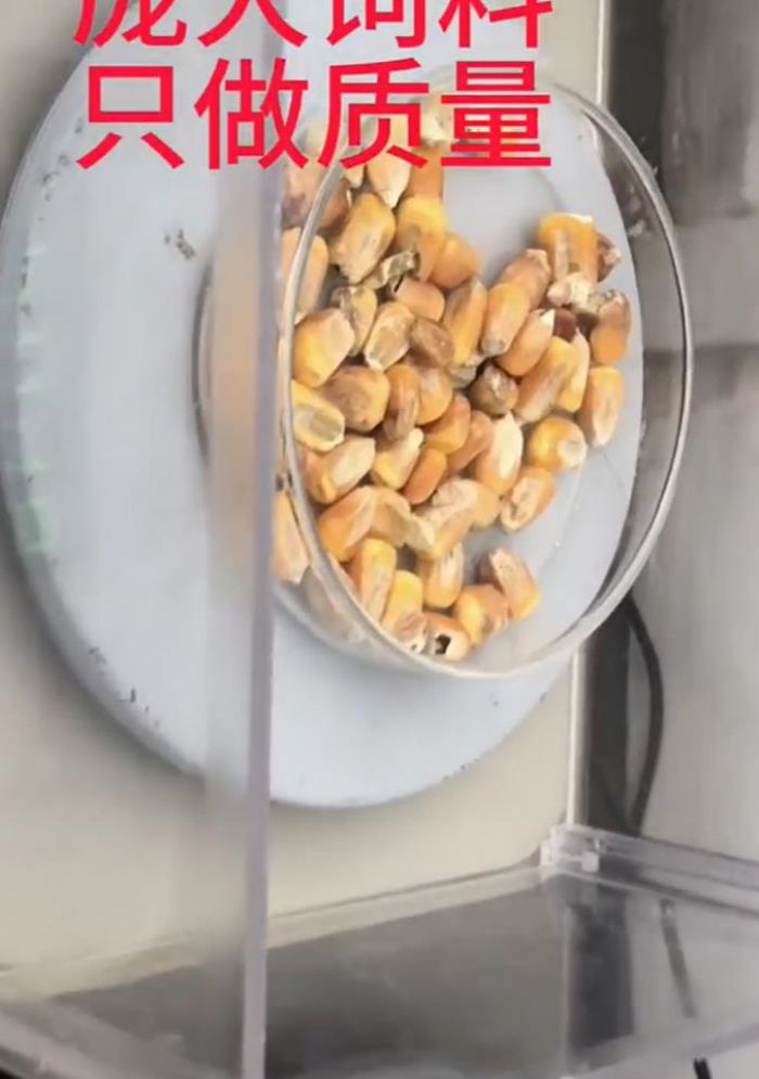 5357cc��˹ά��˹(�й�)���޹�˾����