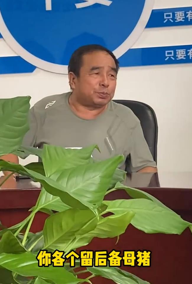 5357cc��˹ά��˹(�й�)���޹�˾����