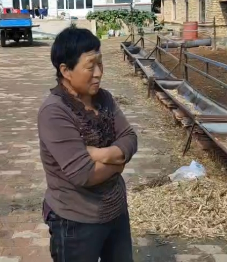 5357cc��˹ά��˹(�й�)���޹�˾����