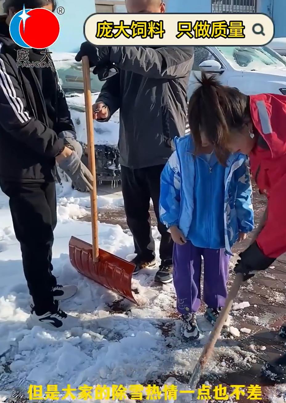 5357cc��˹ά��˹(�й�)���޹�˾����