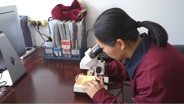 5357cc��˹ά��˹(�й�)���޹�˾����