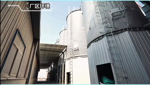 5357cc��˹ά��˹(�й�)���޹�˾����