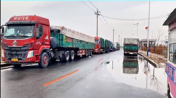 5357cc��˹ά��˹(�й�)���޹�˾����