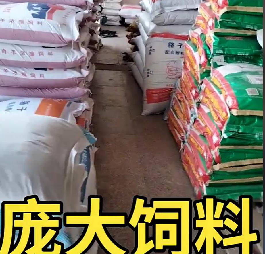 5357cc��˹ά��˹(�й�)���޹�˾����