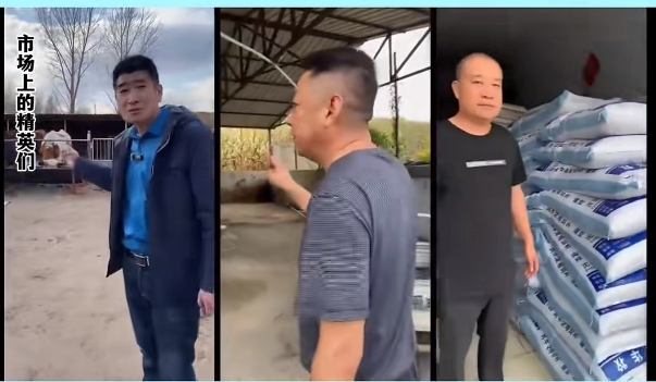 5357cc��˹ά��˹(�й�)���޹�˾����