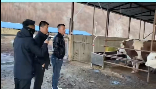 5357cc��˹ά��˹(�й�)���޹�˾����