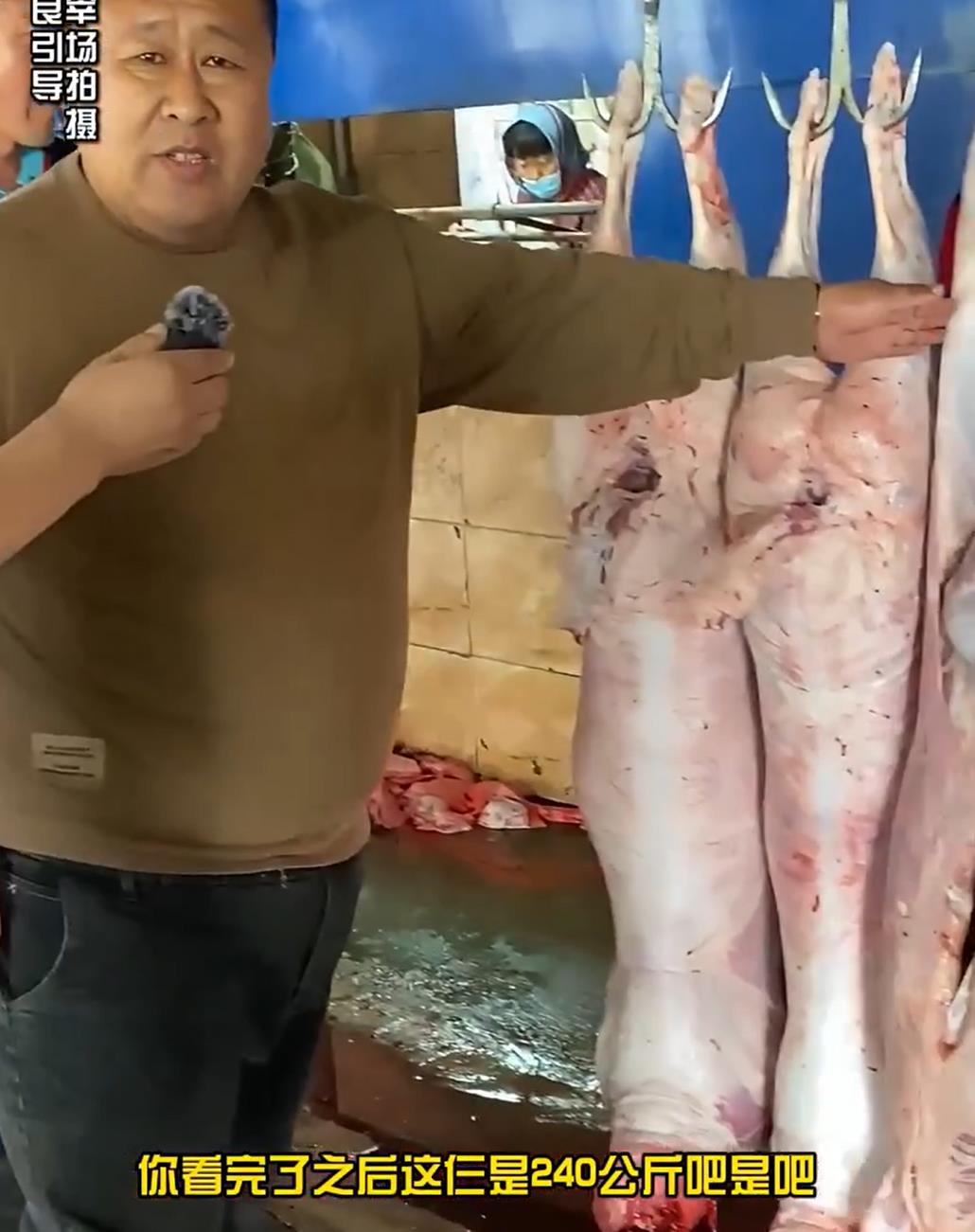 5357cc��˹ά��˹(�й�)���޹�˾����