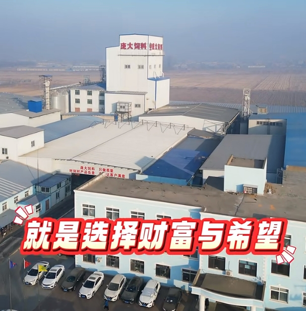 5357cc��˹ά��˹(�й�)���޹�˾����