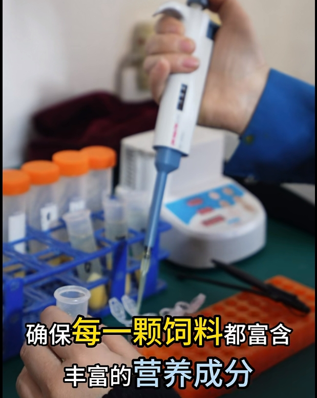 5357cc��˹ά��˹(�й�)���޹�˾����