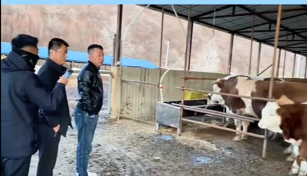 5357cc��˹ά��˹(�й�)���޹�˾����