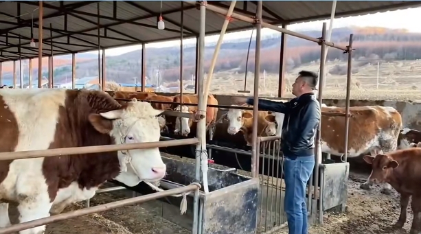 5357cc��˹ά��˹(�й�)���޹�˾����