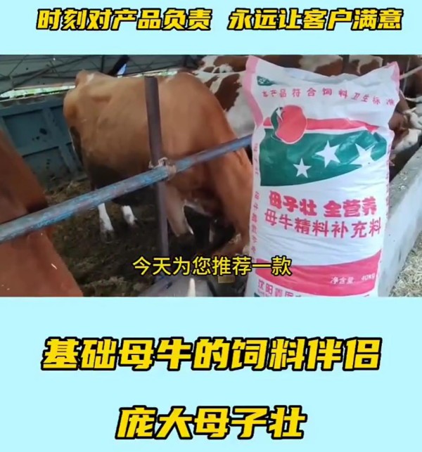 5357cc��˹ά��˹(�й�)���޹�˾����