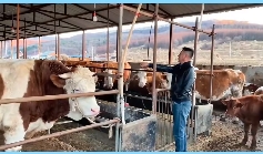 5357cc��˹ά��˹(�й�)���޹�˾����