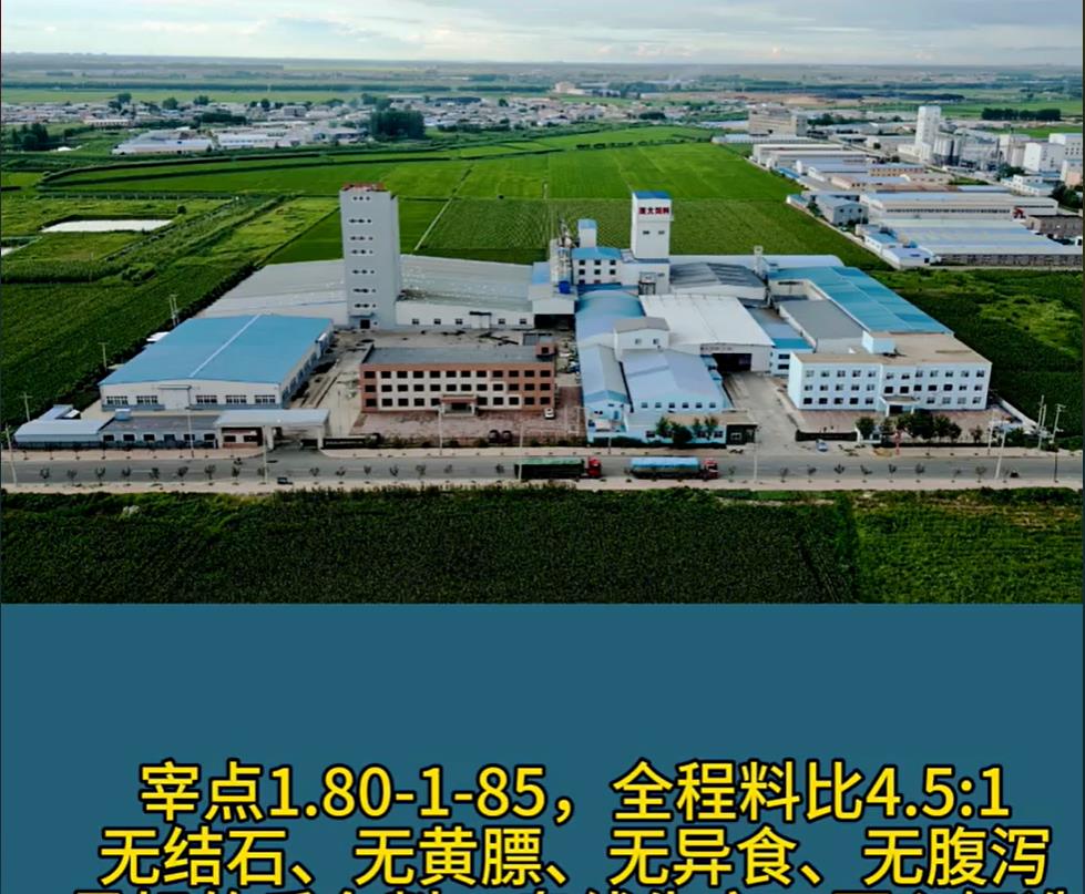 5357cc��˹ά��˹(�й�)���޹�˾����