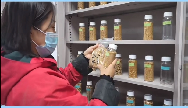 5357cc��˹ά��˹(�й�)���޹�˾����