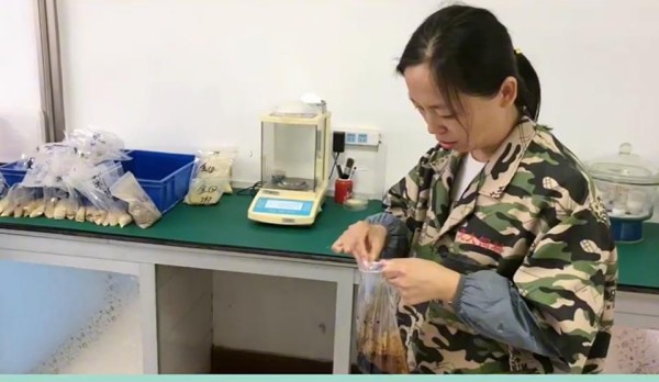 5357cc��˹ά��˹(�й�)���޹�˾����