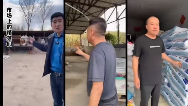 5357cc��˹ά��˹(�й�)���޹�˾����