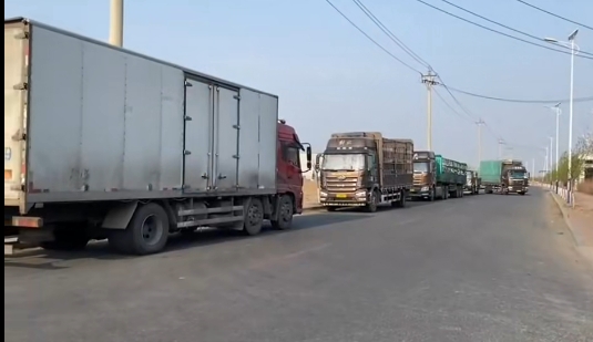 5357cc��˹ά��˹(�й�)���޹�˾����