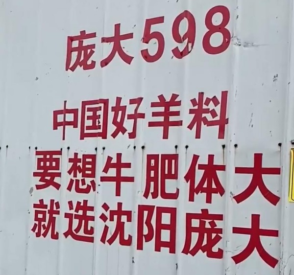 5357cc��˹ά��˹(�й�)���޹�˾����