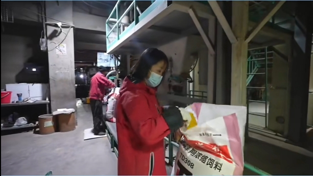 5357cc��˹ά��˹(�й�)���޹�˾����