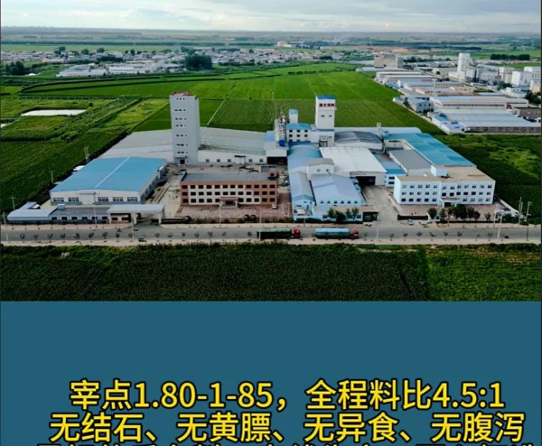 5357cc��˹ά��˹(�й�)���޹�˾����