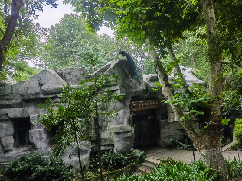 5357cc��˹ά��˹(�й�)���޹�˾����