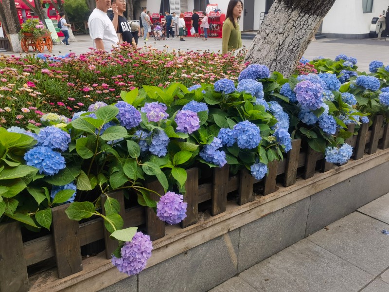 5357cc��˹ά��˹(�й�)���޹�˾����