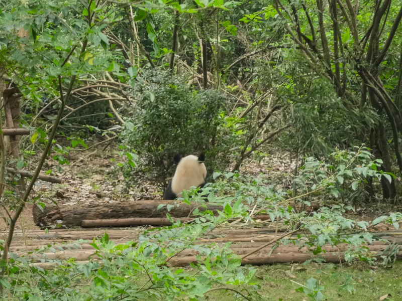 5357cc��˹ά��˹(�й�)���޹�˾����